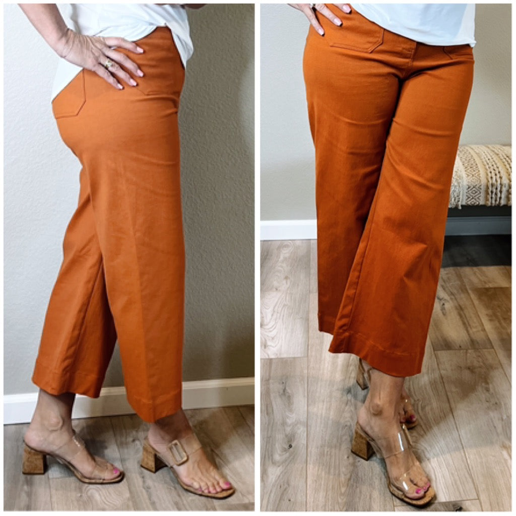 Benton wide leg pants (clay)