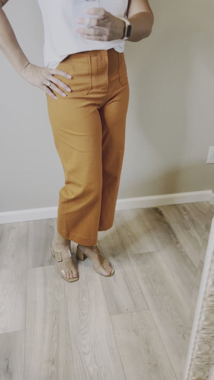 Benton wide leg pants (clay)